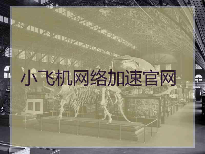 小飞机网络加速官网